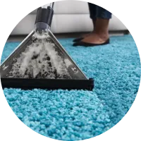 Cleaning Service Icon